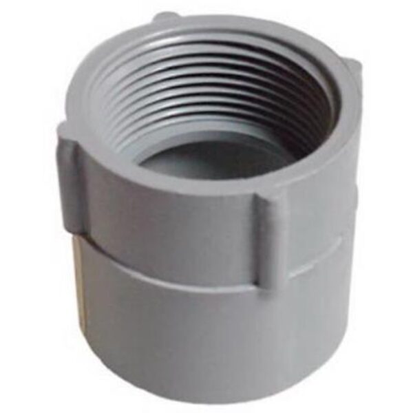 2 in. PVC Female Adapter (Standard Fitting)