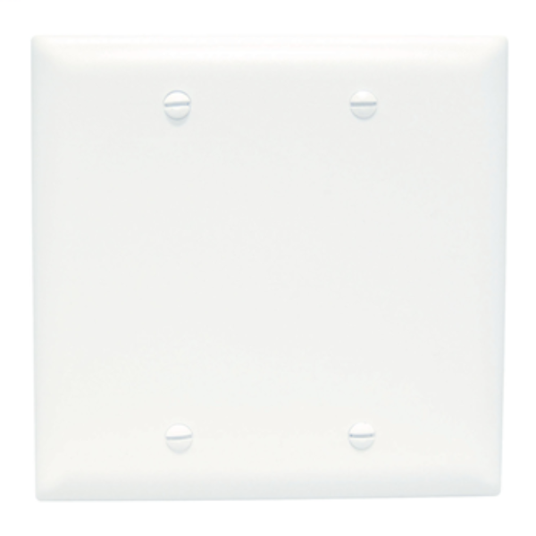 Pass & Seymour TP23-W 2Gang Wall Plate, Blank, Box Mount, Nylon, Standard - White